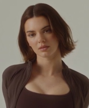 Kendall Jenner (Winter) celebrity color analysis